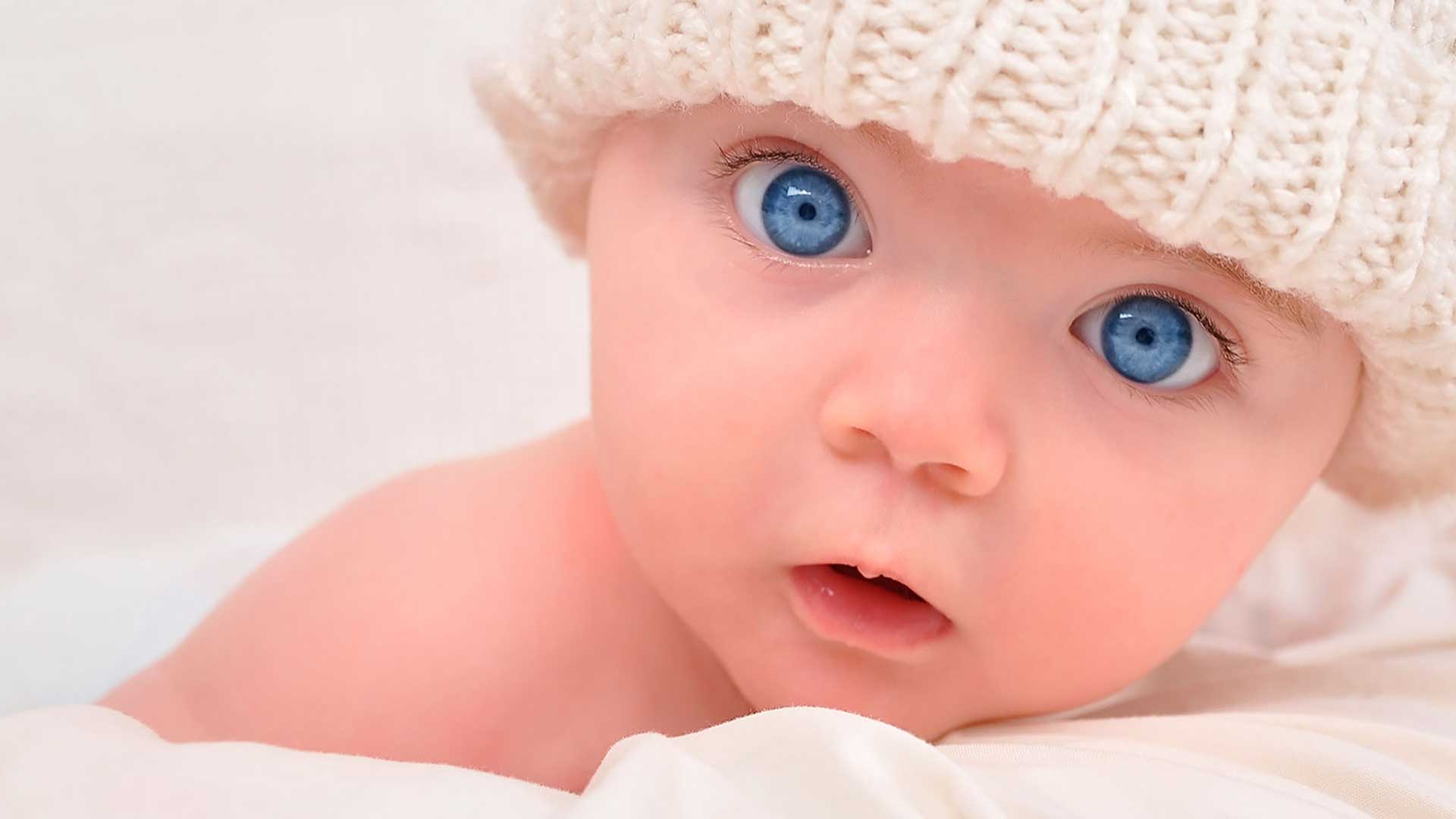 Reprodução Assistida: