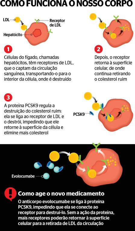 Como Funciona Nosso Corpo